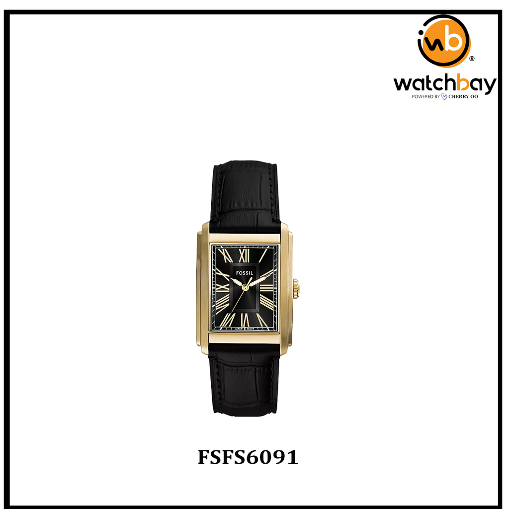 FSFS6091